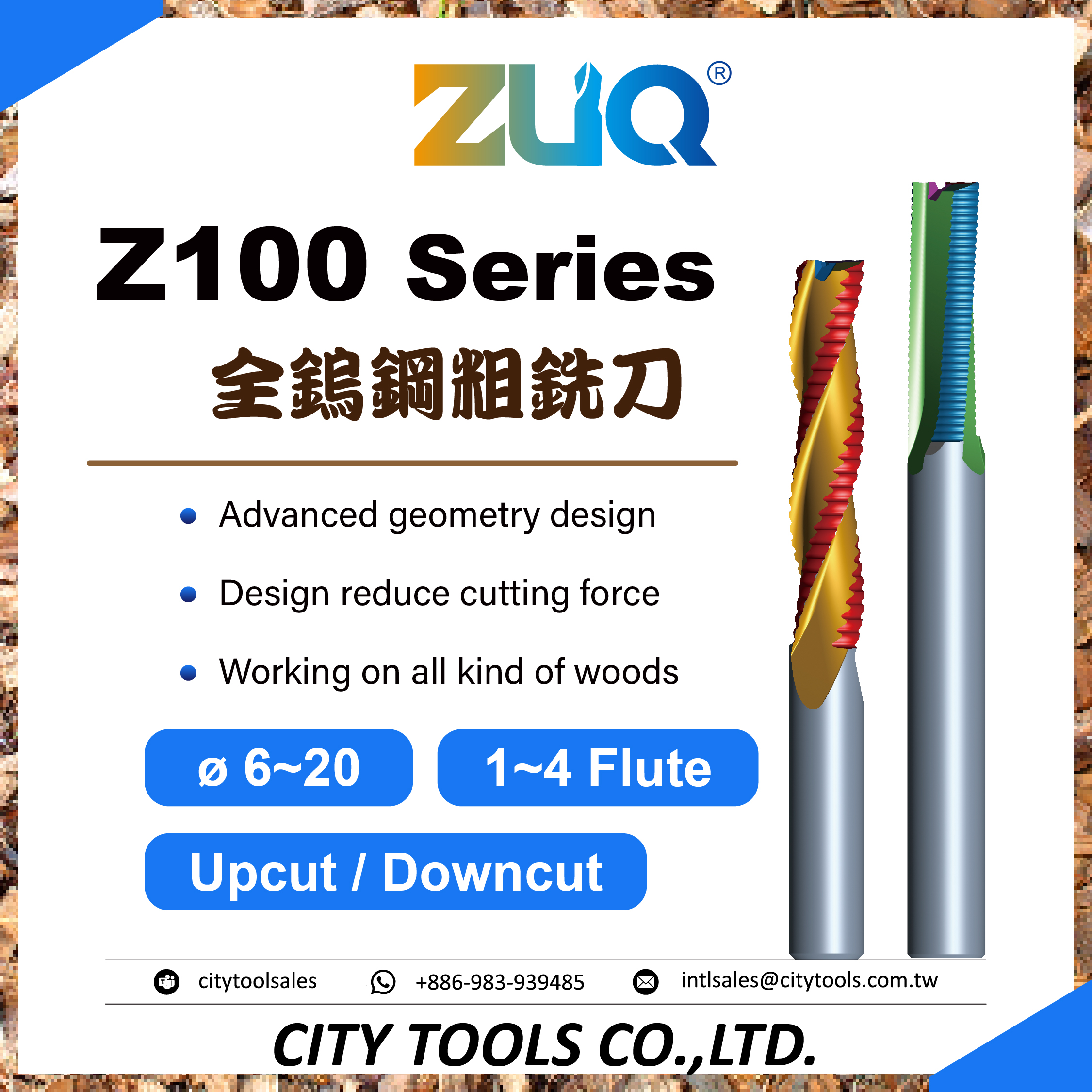 Z100 Series
